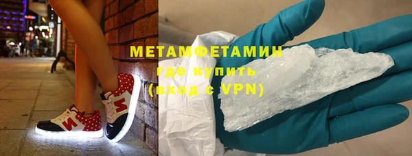 прущие грибы Осинники