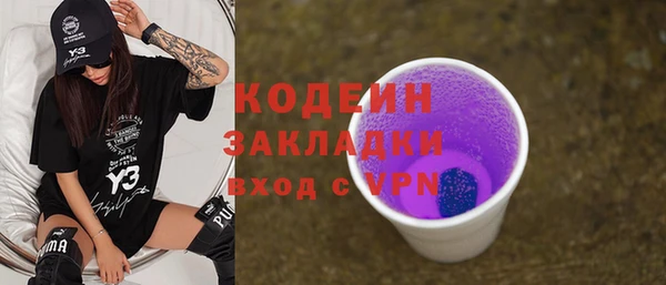эйфоретик Няндома