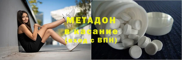 прущие грибы Осинники