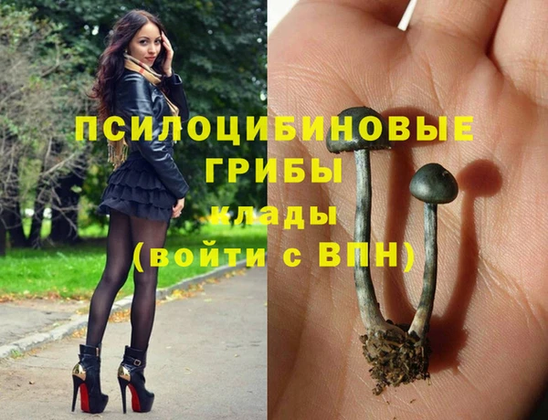 первитин Медвежьегорск