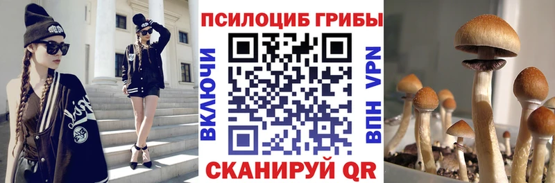 Псилоцибиновые грибы мухоморы где найти Елизаветинская
